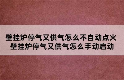 壁挂炉停气又供气怎么不自动点火 壁挂炉停气又供气怎么手动启动